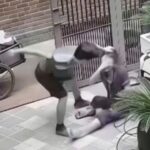 Clip ghi lại cảnh người chồng đánh vợ ngay ngoài cổng - Ảnh cắt từ clip