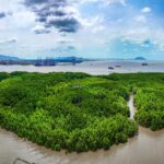 Toàn cảnh cù lao Phú Lợi (Cần Giờ, TP.HCM) nhìn từ trên cao nơi sắp trở thành siêu cảng trung chuyển quốc tế. Dự án có quy mô 571ha, tổng vốn đầu tư gần 5 tỉ USD, cầu cảng chính dài khoảng 7,5km, dự báo công suất đến năm 2030 đạt 4,8 triệu TEUs, tiến tới 16,9 triệu TEUs vào năm 2047, khả năng tiếp nhận tàu container trọng tải lớn lên tới 250.000 tấn