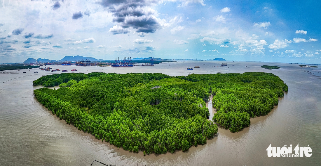 Toàn cảnh cù lao Phú Lợi (Cần Giờ, TP.HCM) nhìn từ trên cao nơi sắp trở thành siêu cảng trung chuyển quốc tế. Dự án có quy mô 571ha, tổng vốn đầu tư gần 5 tỉ USD, cầu cảng chính dài khoảng 7,5km, dự báo công suất đến năm 2030 đạt 4,8 triệu TEUs, tiến tới 16,9 triệu TEUs vào năm 2047, khả năng tiếp nhận tàu container trọng tải lớn lên tới 250.000 tấn