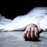 News Article Hero Image