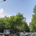 今日重庆中心城区天气晴好。第1眼TV-华龙网记者 李舒 摄