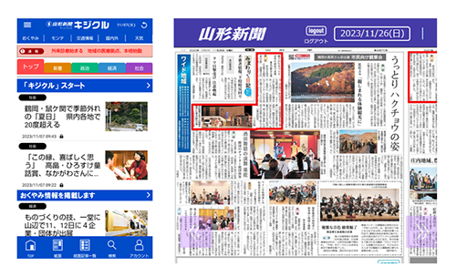 Image of the digital edition service