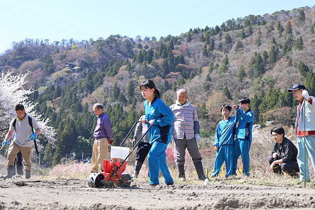 Participants sowing safflower seeds in a field = Yamadera, Yamagata City