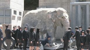 Life-sized statue of Asian elephant 'Fujiko' unveiled. Created by local high school students. 'A sense of accomplishment bringing her back to her hometown.'