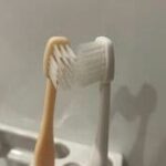 歯ブラシには細菌がいっぱい！使い方次第では“便器ブラシ”状態に… 細菌の増殖やインフル感染リスクも高めるNG行為とは