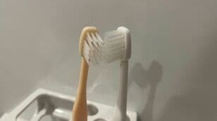 歯ブラシには細菌がいっぱい！使い方次第では“便器ブラシ”状態に… 細菌の増殖やインフル感染リスクも高めるNG行為とは