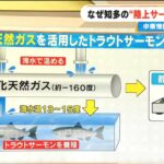 東海地方で相次ぐサーモン養殖 ガス製造過程で捨てられる“冷たい海水”を有効活用 中東情勢の影響受ける可能性は？ | 名古屋・愛知・岐阜・三重のニュース【CBC news】 | CBC web