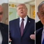 News Article Hero Image