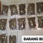 Polda Metro Jaya menangkap pria berinisial HF (37) di Kota Depok, Jawa Barat (Jabar). Ganja dengan total berat mencapai 6,2 kg disita. (Dok. Istimewa)