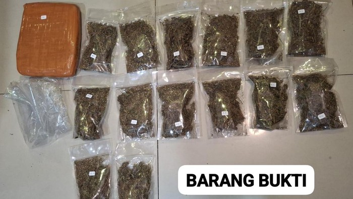 Polda Metro Jaya menangkap pria berinisial HF (37) di Kota Depok, Jawa Barat (Jabar). Ganja dengan total berat mencapai 6,2 kg disita. (Dok. Istimewa)