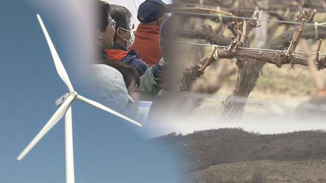 A wind power construction plan has emerged in the wine town of Yoichi, Hokkaido, drawing opposition from residents.