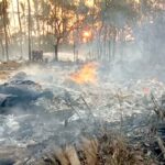 উদ্ধারকাজে দ্রুত ঘটনাস্থলে পৌঁছায় পুলিশ ও দমকল বিভাগ। ছবি: সংগৃহীত।