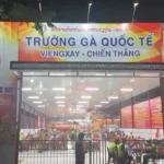 Trường gà quốc tế Viêng Xay vừa bị công an triệt phá - Ảnh: Công an tỉnh Thanh Hóa cung cấp