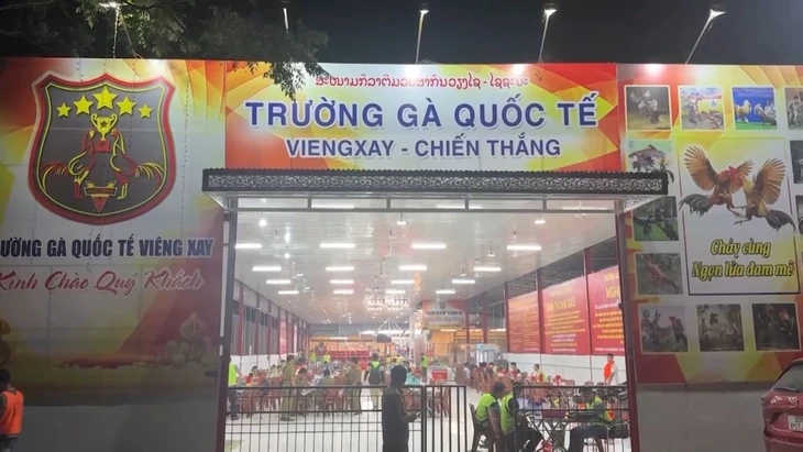 Trường gà quốc tế Viêng Xay vừa bị công an triệt phá - Ảnh: Công an tỉnh Thanh Hóa cung cấp