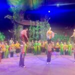 Chương trình đưa người xem khám phá bản sắc văn hóa ba miền qua ngôn ngữ xiếc và ảo thuật.