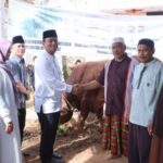 Wakil Bupati Dairi, Wahyu Daniel Sagala menyerahkan sapi kurban bantuan Presiden Prabowo Subianto kepada masyarakat Desa Gunung Sitember saat perayaan Iduladha 1447 Hijriah.