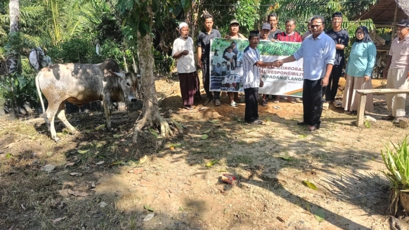 Dalam rangka Hari Raya Iduladha 1447 H, perusahaan sawit PT Raya Padang Langkat menyalurkan hewan kurban sapi kepada warga yang bermukim di seputaran operasional perkebunan, baik di Kabupaten Langkat maupun di Aceh Tamiang.