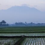 Ilustrasi cuaca Bandung. Foto: Wisma Putra