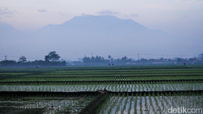 Ilustrasi cuaca Bandung. Foto: Wisma Putra