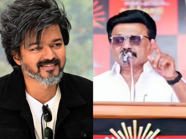 T Vijay M K Stalin (File)