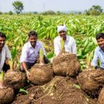 AI निर्मित फोटो