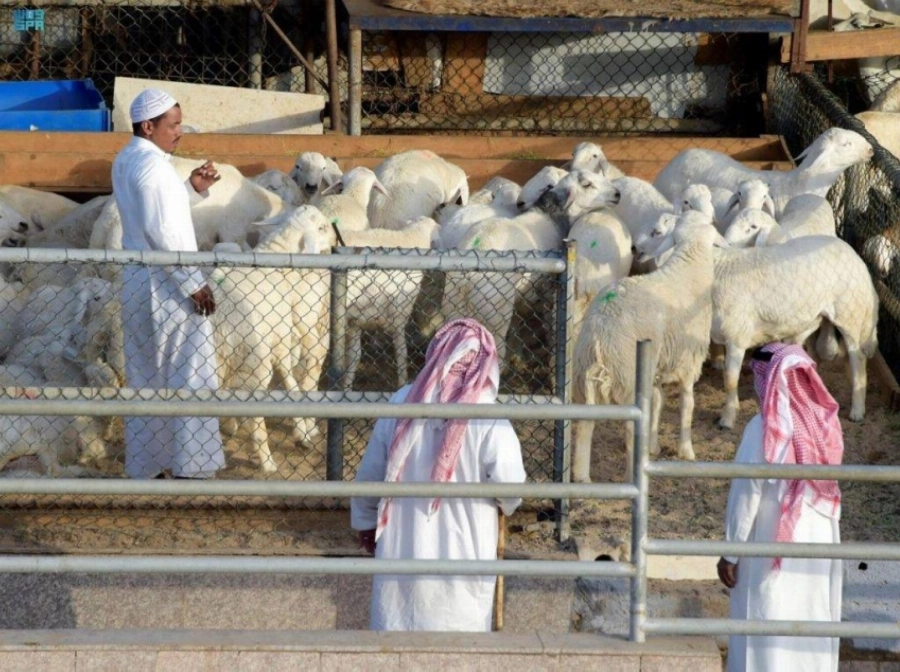 استقرار الإمدادات مع قرب حلول عيد الأضحى المبارك