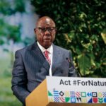 Felix Moloua, Prime Minister of the Central African Republic, speaks at the U.N. Environment Assembly (UNEA) held at the U.N. Environment Programme (UNEP) headquarters in Nairobi, Kenya Wednesday, March 2, 2022. Delegates are meeting to discuss a binding international framework to address the growing problem of plastic waste in the world's oceans, rivers and landscape. (AP Photo/Brian Inganga)