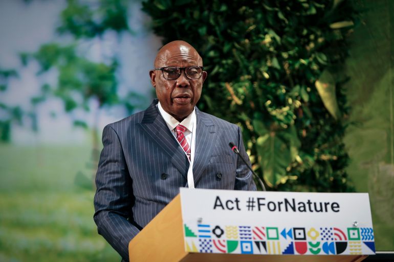 Felix Moloua, Prime Minister of the Central African Republic, speaks at the U.N. Environment Assembly (UNEA) held at the U.N. Environment Programme (UNEP) headquarters in Nairobi, Kenya Wednesday, March 2, 2022. Delegates are meeting to discuss a binding international framework to address the growing problem of plastic waste in the world's oceans, rivers and landscape. (AP Photo/Brian Inganga)