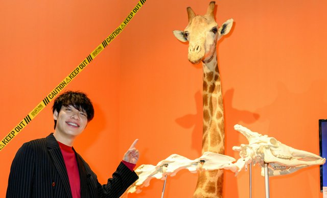 特別展「超危険生物展」で展示しているキリンの剝製（はくせい）と骨格標本の前で、漫才コンビ「麒麟（きりん）」の川島明さんがポーズを取った=東京・上野の国立科学博物館
