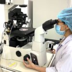 Theo chương trình hỗ trợ đào tạo sau đại học mới của Đại học Quốc gia TP.HCM, người học tiến sĩ có thể nhận tới 560 triệu đồng. Trong ảnh: Các nghiên cứu viên làm việc tại phòng thí nghiệm của trường thành viên Đại học Quốc gia TP.HCM - Ảnh: TRẦN HUỲNH