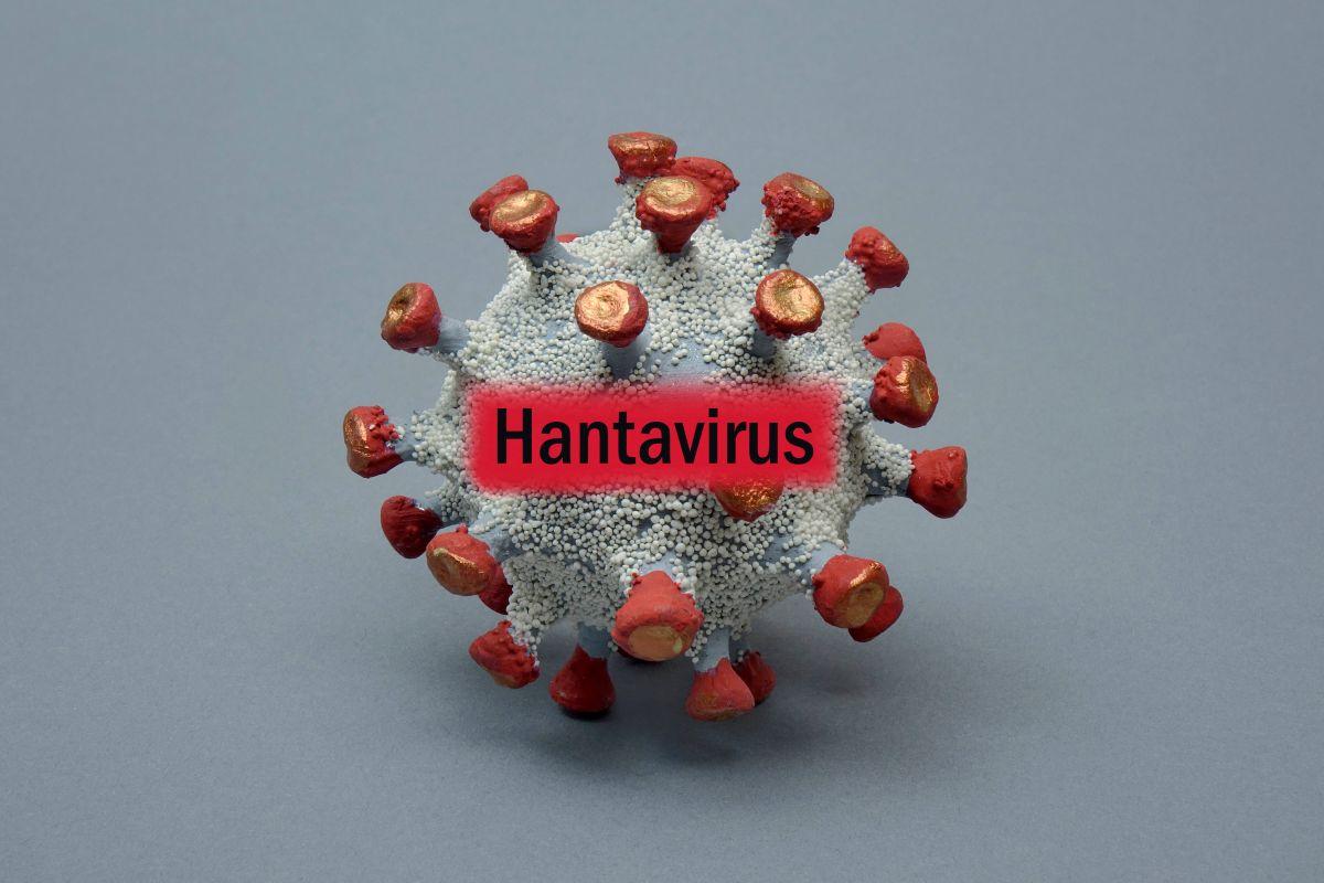 Hantaviruses ?are a group of viruses that are usually spread by rodents, but ?in rare cases can be transmitted person to person. REUTERS