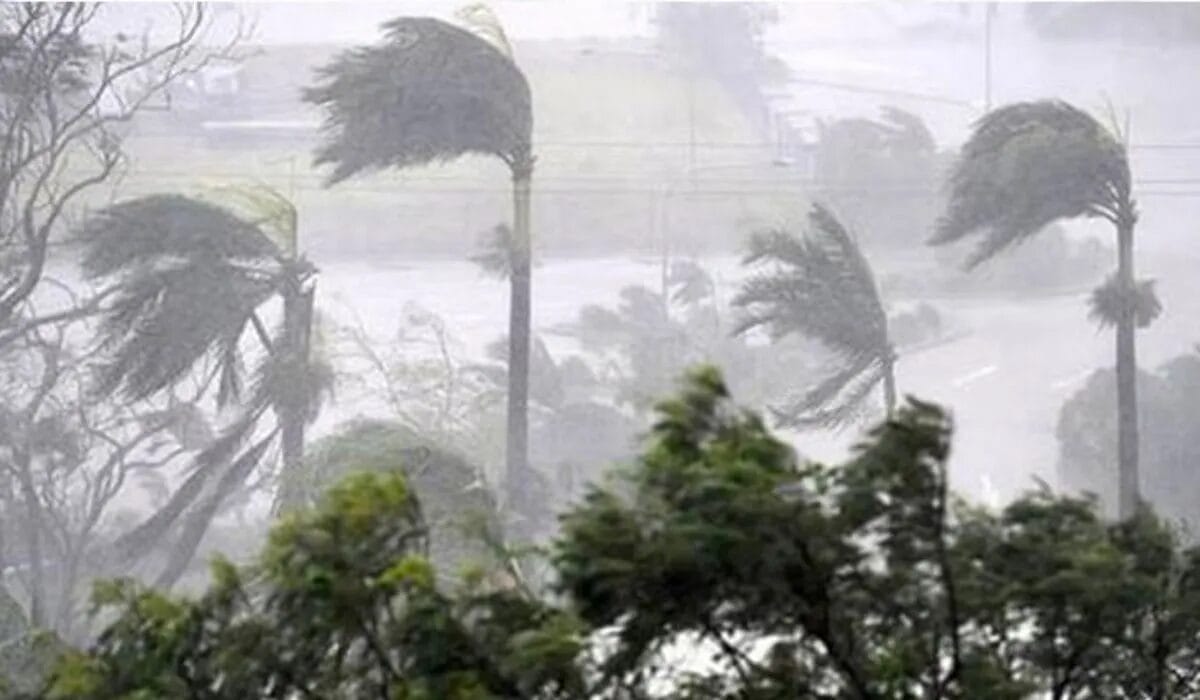 केरल में आगे बढ़ा दक्षिण-पश्चिम मानसून, IMD का अपडेट