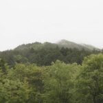 岐阜・中津川市の小秀山で50代の男性遺体 山岳遭難で行方不明の男性か | 名古屋・愛知・岐阜・三重のニュース【CBC news】 | CBC web
