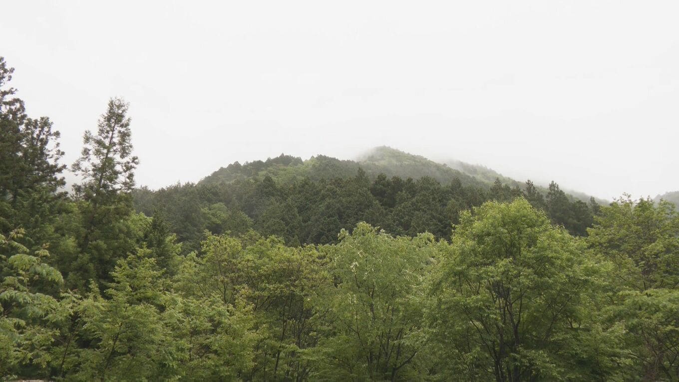 岐阜・中津川市の小秀山で50代の男性遺体 山岳遭難で行方不明の男性か | 名古屋・愛知・岐阜・三重のニュース【CBC news】 | CBC web