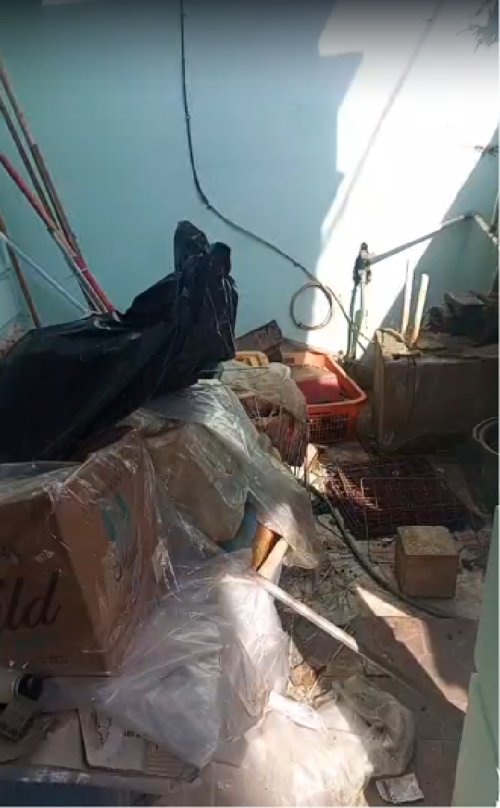 Kontrakan penuh sampah dan bangkai kucing di Bekasi.