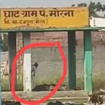 चिता से अस्थियां उठाता आरोपित, लाल घेरे में। वीडियो ग्रैब