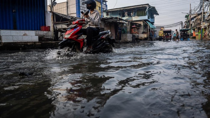 Ilustrasi banjir pesisir (rob) (Foto: ANTARA FOTO/Bayu Pratama S)