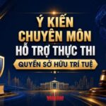 [Infographic] Ý kiến chuyên môn hỗ trợ thực thi quyền sở hữu trí tuệ