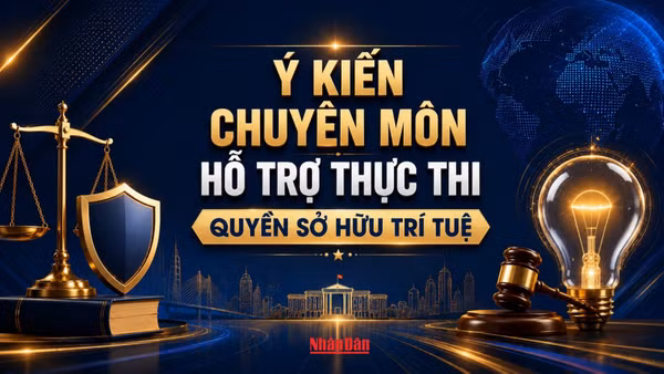 [Infographic] Ý kiến chuyên môn hỗ trợ thực thi quyền sở hữu trí tuệ