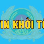 Khởi tố 5 vụ án xâm phạm bản quyền tác giả, quyền liên quan.