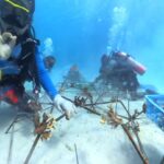 Wanadri Women Divers bersama TNI AL berkolaborasi untuk menjaga keberlanjutan ekosistem laut Indonesia.