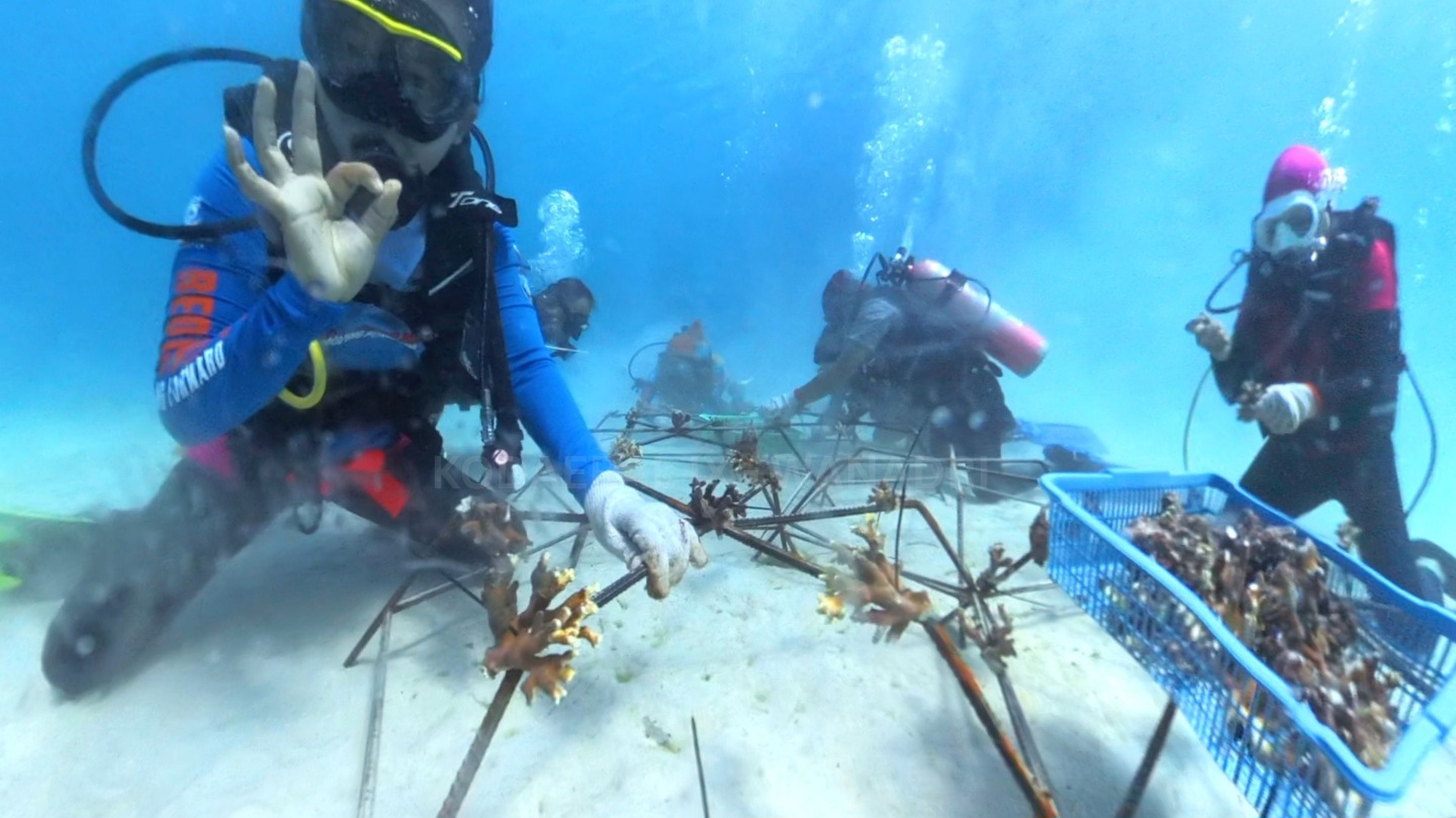 Wanadri Women Divers bersama TNI AL berkolaborasi untuk menjaga keberlanjutan ekosistem laut Indonesia.