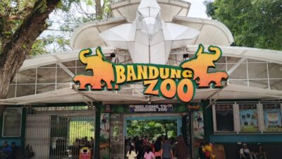 Not Just Business, Bandung Zoo Management Must Meet Animal Conservation Requirements