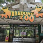 Bandung Zoo. (Foto: Rifat Alhamidi/detikJabar)