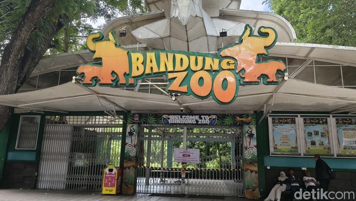 Bandung Zoo. (Foto: Rifat Alhamidi/detikJabar)