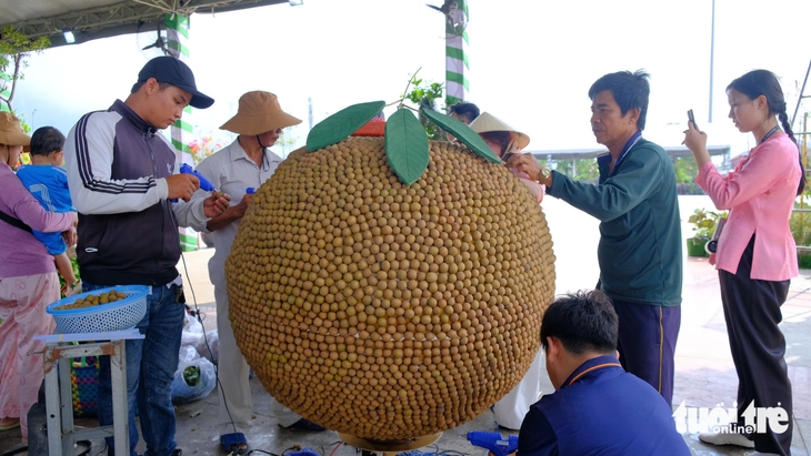 fruit - Photo 4.