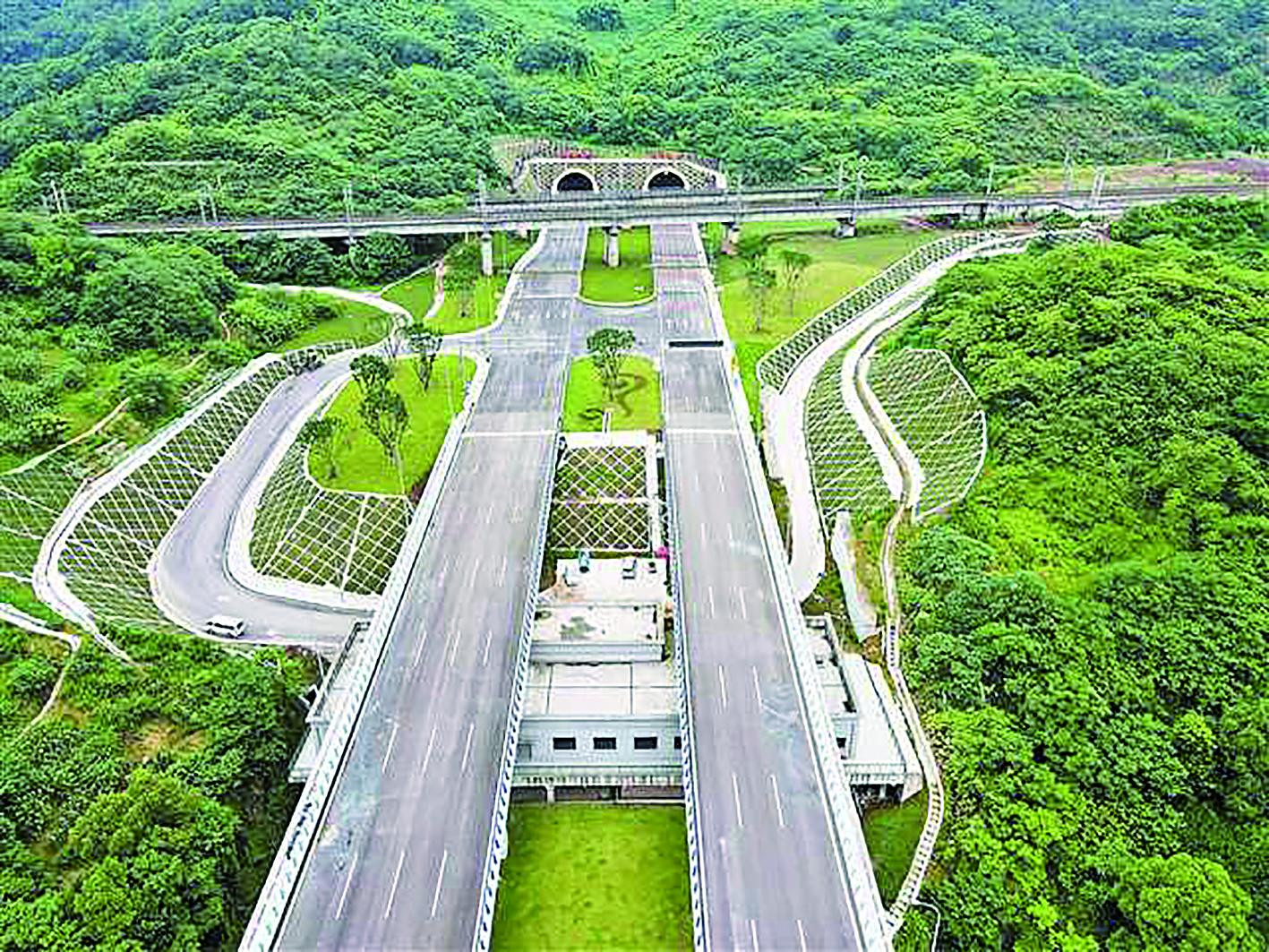 陶家隧道