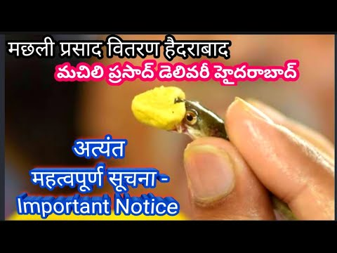 हैदराबाद में आयोजित मछली प्रसाद वितरण कार्यक्रम को लेकर मंत्री पोनम ने अहम निर्देश जारी किए हैं। उन्होंने व्यवस्था, सुरक्षा और भीड़ प्रबंधन को लेकर अधिकारियों को सख्त कदम उठाने के निर्देश दिए।