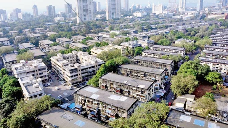 Mumbai Tree Plantation Drive: BMC Calls for One Tree in Every Housing Society to Offset Green Cover Loss