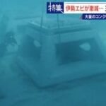 30年コンクリートの塊を沈め続けても止まらない“磯焼け” 三重の海で進む異変 伊勢エビも激減し… ｢漁師は勧められない職業｣